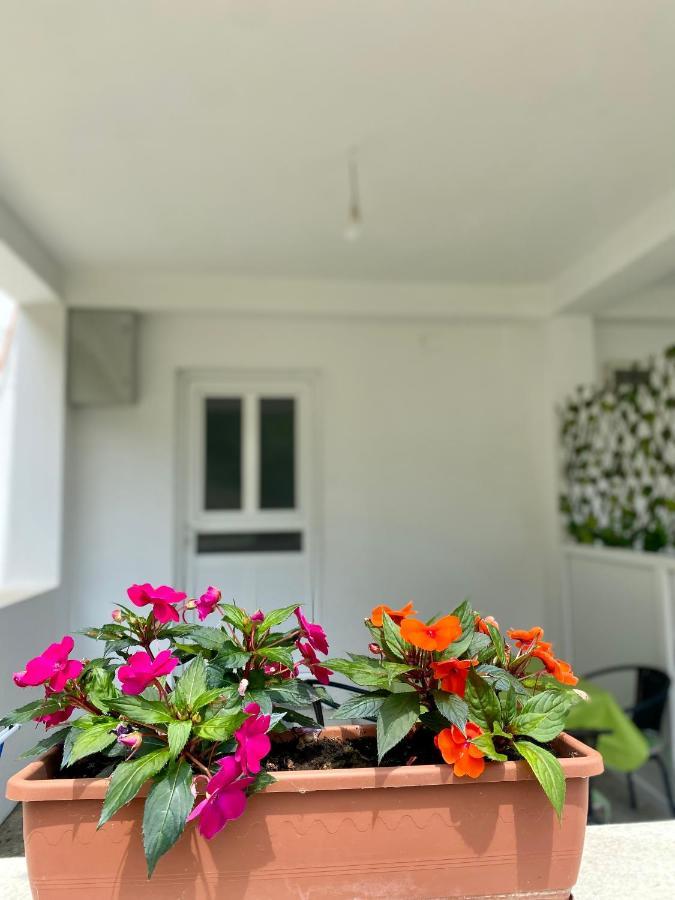 Apartmani Dragana Herceg Novi Esterno foto