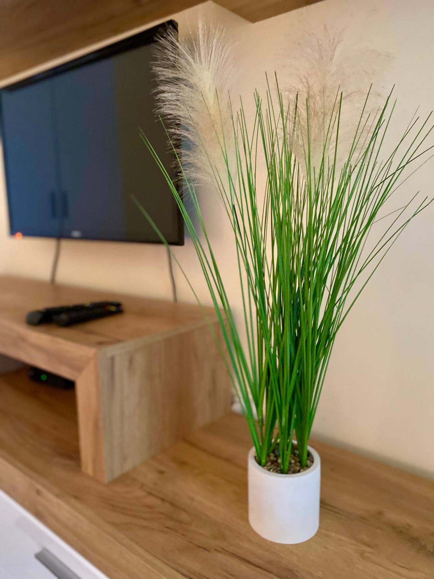 Apartmani Dragana Herceg Novi Esterno foto