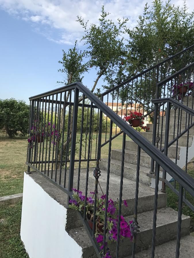 Apartmani Dragana Herceg Novi Esterno foto